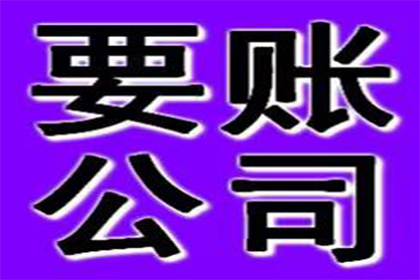 借款纠纷可通过司法途径解决吗？